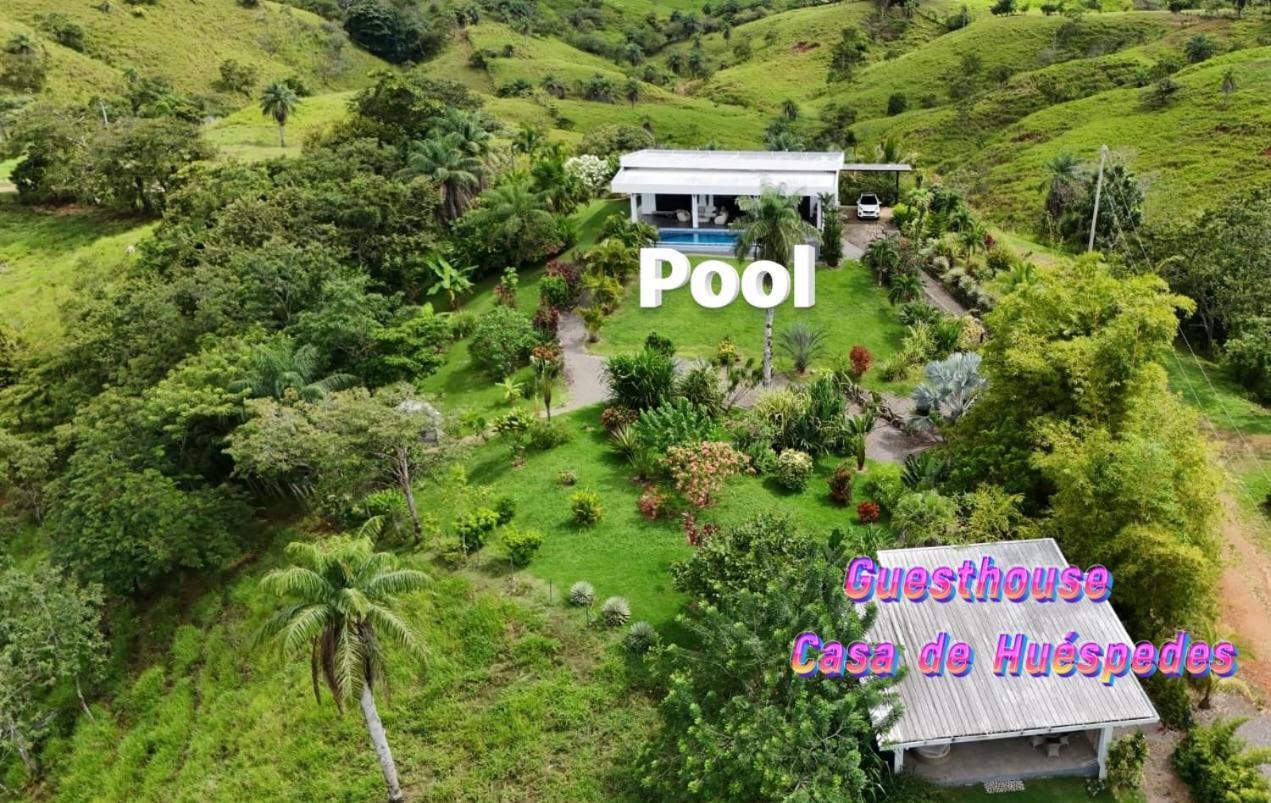 Finca Colibri ボカ・チカ エクステリア 写真