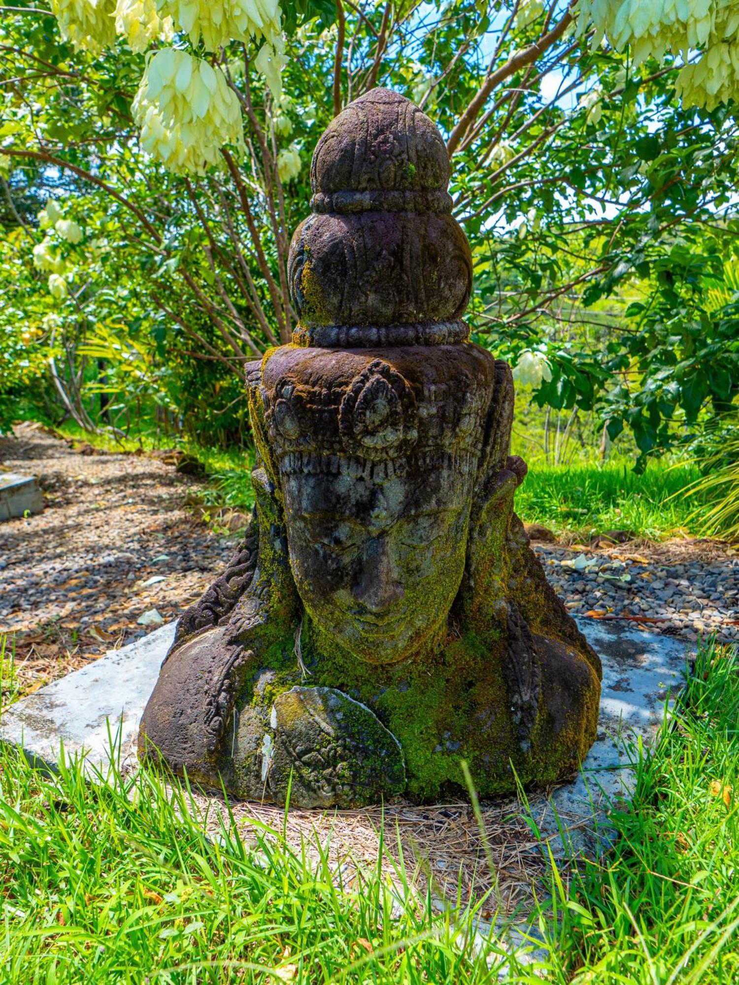 Finca Colibri ボカ・チカ エクステリア 写真